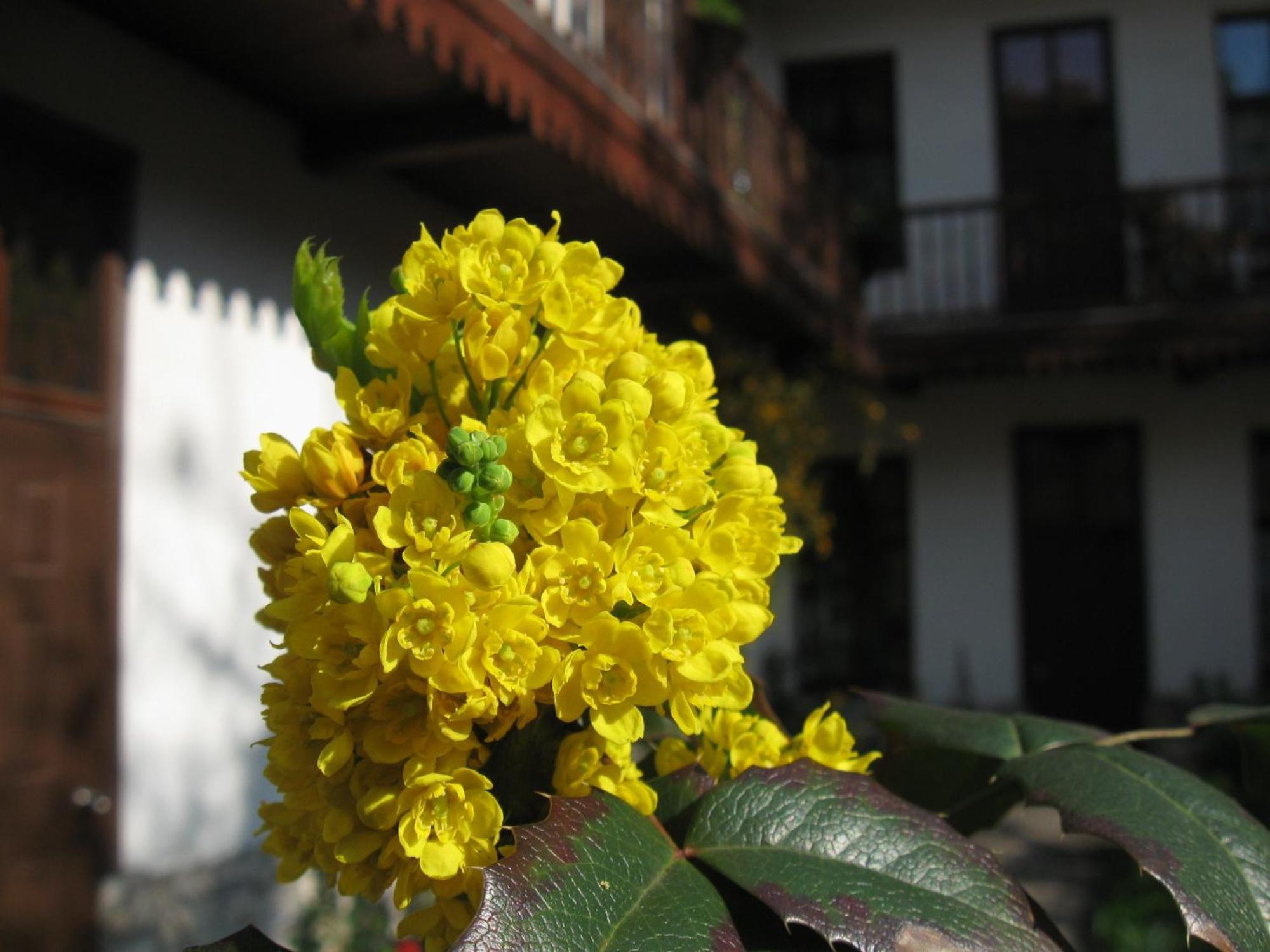 Globtroter Guest House — Fotos 2